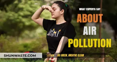 Air Pollution: Expert Insights and Warnings