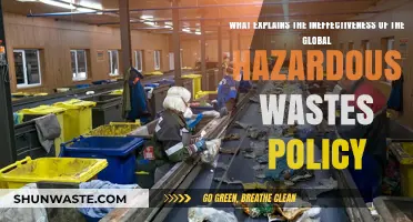 Unraveling the Flaws: Why Global Hazardous Waste Policies Fall Short