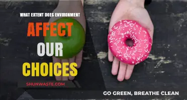 How Our Surroundings Shape Decisions: Exploring Environment's Impact on Choices
