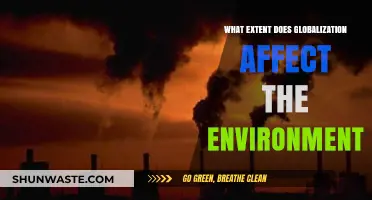 Globalization's Environmental Impact: Challenges, Consequences, and Sustainable Solutions