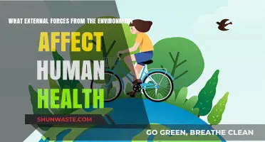 Environmental Factors Shaping Human Health: Key External Influences Explored