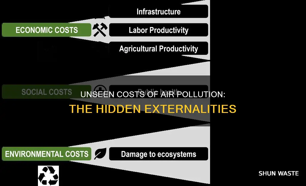 what externalities are caused by air pollution