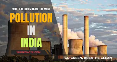 India's Industrial Pollution: Unveiling the Top Industrial Polluters