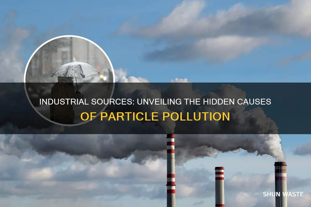 what factories causes particle pollution