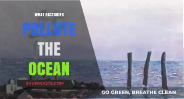Industrial Pollution: Ocean's Silent Killers