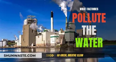 Unveiling Industrial Water Polluters: A Comprehensive Guide to Factory Impact