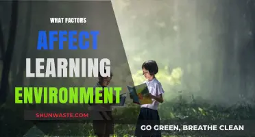 Key Factors Shaping Effective Learning Environments for Students