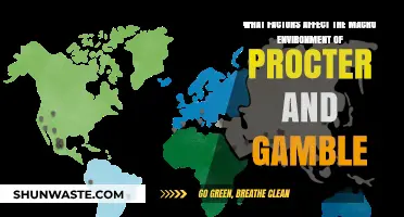 Analyzing Key Macro-Environmental Factors Shaping Procter & Gamble's Global Business Landscape