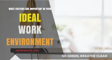 Crafting Your Ideal Work Environment: Key Factors for Success and Satisfaction