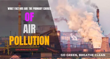 Unveiling the Main Culprits: Understanding Air Pollution's Origins