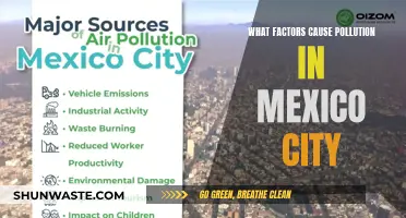 Mexico City's Air Pollution: A Complex Web of Factors