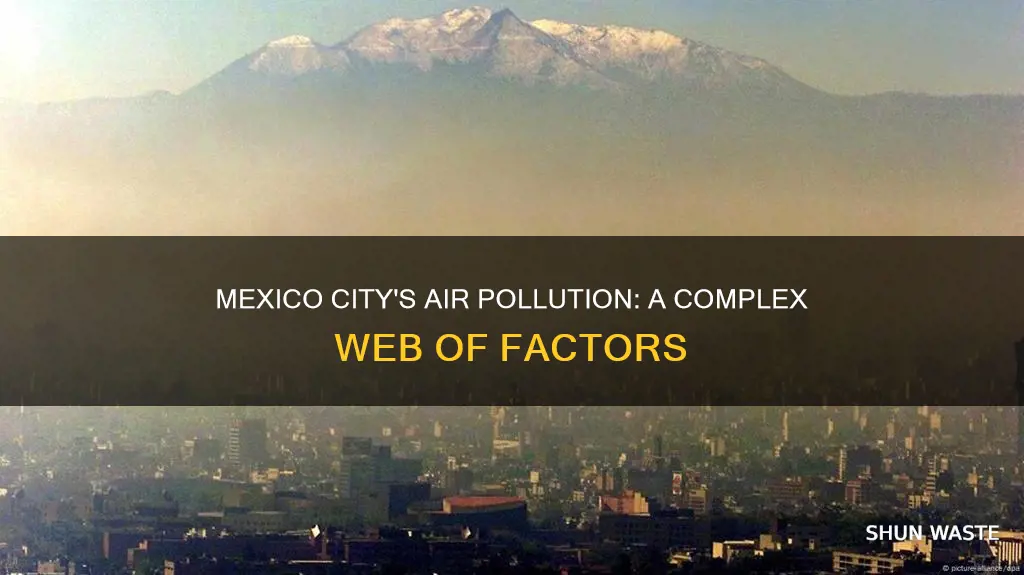 what factors cause pollution in mexico city