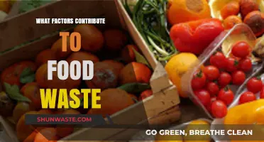 Uncovering the Root Causes of Food Waste: A Comprehensive Guide