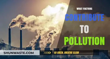 Understanding Pollution: Key Factors and Causes