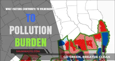Pollution's Heavy Burden: Understanding Key Vulnerability Factors