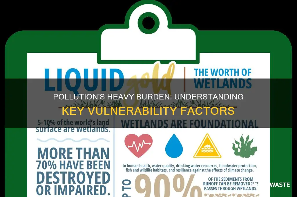 what factors contribute to vulnerability to pollution burden