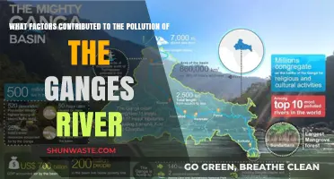 Human Impact: The Polluting of the Ganges