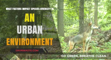 Urban Biodiversity: Key Factors Shaping Species Diversity in Cities