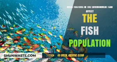 Environmental Factors Shaping Fish Populations: Key Influences and Impacts