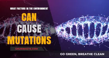 Environmental Triggers: Uncovering Factors That Induce Genetic Mutations
