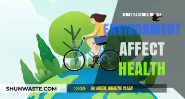 Environmental Factors Shaping Health: Key Influences and Their Impact