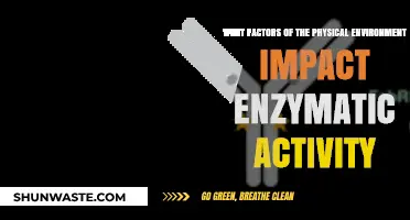 Environmental Factors Shaping Enzymatic Activity: Key Physical Influences Explored
