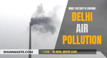 Unveiling Delhi's Air Pollution: The Factory at the Center of the Crisis