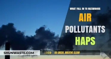 Air Pollutants: Understanding Hazardous Air Pollutants (HAPs)