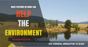 Eco-Friendly Dams: Key Features for Environmental Sustainability and Balance