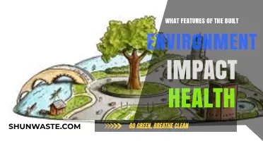 Built Environment Features Shaping Health: Key Impacts and Insights