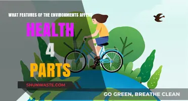 Environmental Factors Shaping Health: Air, Water, Soil, and Climate Impacts