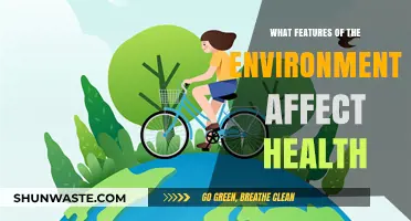 Environmental Factors Shaping Health: Key Influences on Well-Being Explored