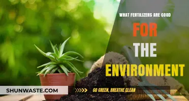 Eco-Friendly Fertilizers: Sustainable Choices for Greener, Healthier Gardens
