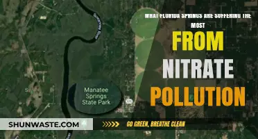 Florida Springs: Nitrate Pollution's Worst Victims