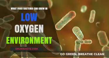 Surviving Without Air: Foods Where Anaerobic Bacteria Thrive in Low Oxygen
