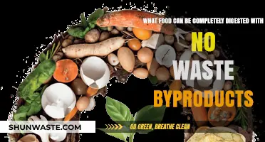 Zero-Waste Digestion: Foods That Leave No Trace Behind