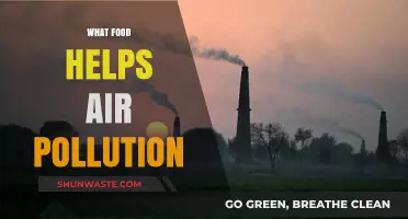 Plants for Pollution: Foods That Fight Smog
