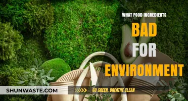 Eco-Unfriendly Eats: Harmful Food Ingredients Damaging Our Planet