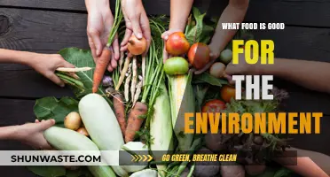 Sustainable Eating: Eco-Friendly Foods to Nourish You and the Planet
