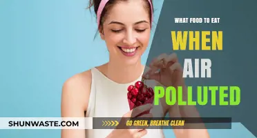 Eat Right to Fight Air Pollution