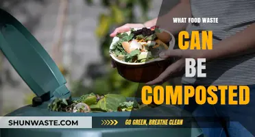 From Scraps to Soil: A Guide to Compostable Food Waste