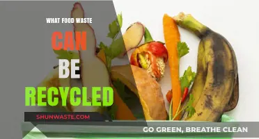 From Scraps to Resources: A Guide to Recycling Food Waste