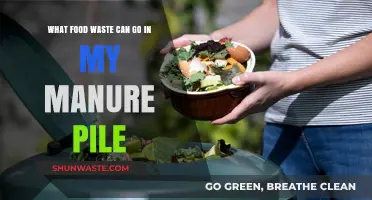 Sustainable Gardening: Transforming Food Waste into Nutrient-Rich Compost