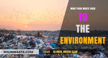 The Hidden Cost of Food Waste: Environmental Impact Revealed
