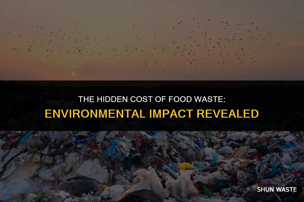 what food waste does to the environment