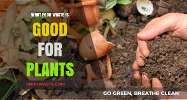 Nature's Bounty: How Food Waste Can Nourish Your Garden