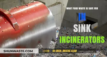 Eco-Friendly Disposal: Safe Food Waste for In-Sink Incinerators