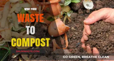 From Scraps to Soil: A Guide to Composting Food Waste