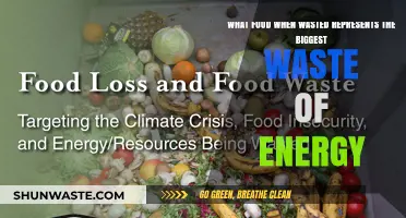 The Surprising Culprit: Which Food Waste Costs Us the Most Energy?