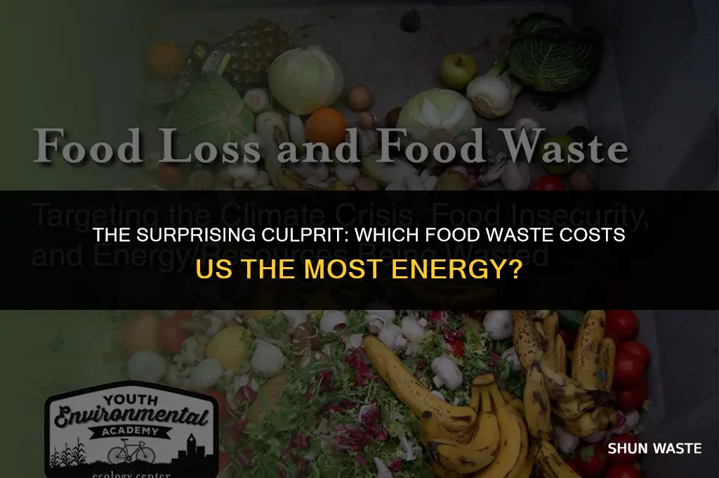 what food when wasted represents the biggest waste of energy